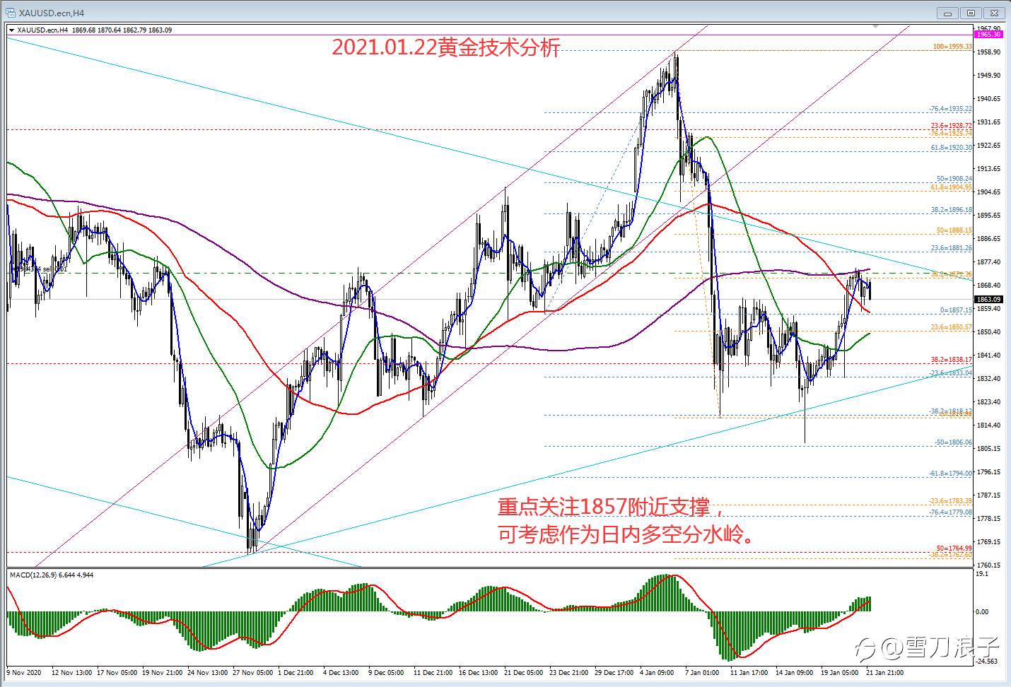 2021.01.22黄金技术分析