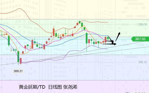 张尧浠：拜登首计划遇阻、黄金承压回撤支撑再跟多