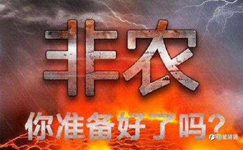 非农or飞龙，大赛最后几天是否还有黑马出现？