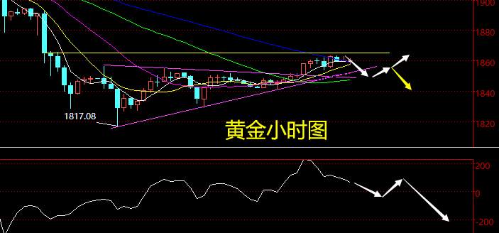 老黑策略：1.12晚盘外汇、黄金、原油分析策略