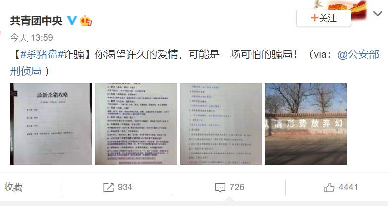 刷屏！我是一只刚刚被杀的猪,杀猪盘触目惊心：女生被骗上千万！诈骗流程大曝光