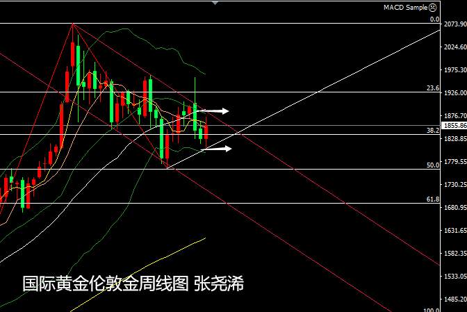 张尧浠周评：利空突压黄金坚强收阳、多头待过震荡期