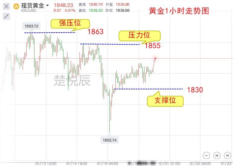 楚悦辰：1.20黄金反复震荡，本周或可决出方向