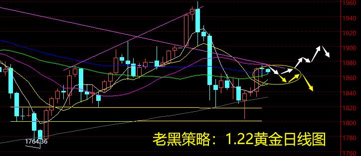 老黑策略：1.22黄金分析策略