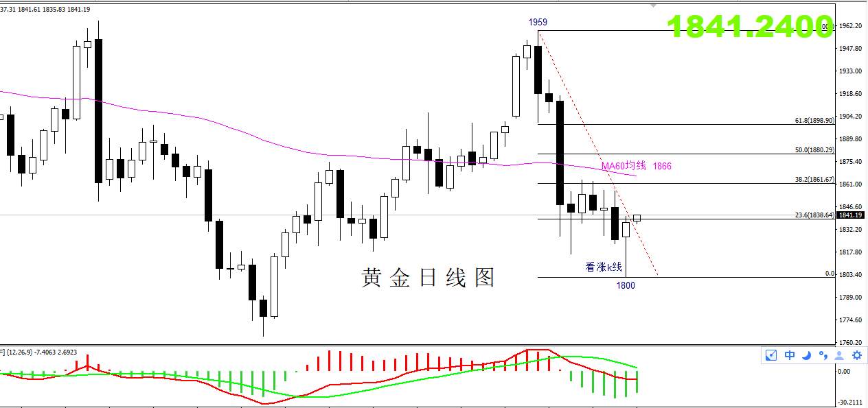 【黄金篇】：鸽派女王回归，黄金市场再掀波澜！