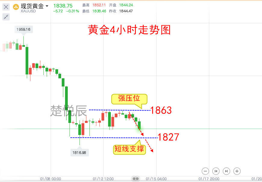 楚悦辰：1.14黄金短期仍有下跌的风险，空单认真看新低