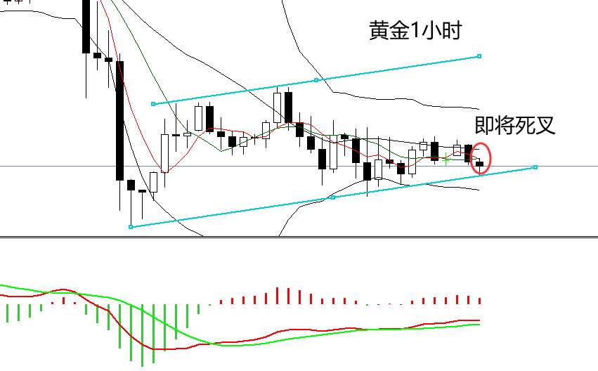 四季：灰太狼精神惹人发笑，非农前黄金怎么做