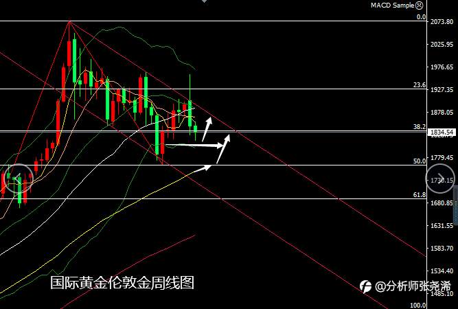 张尧浠：黄金今日新低看止跌、多头反弹再寻压力线