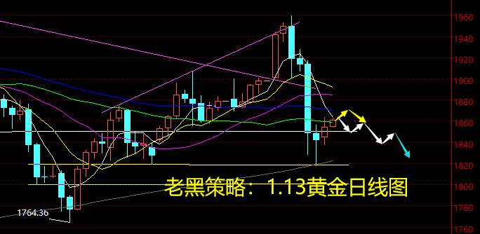 老黑策略：1.13黄金分析策略