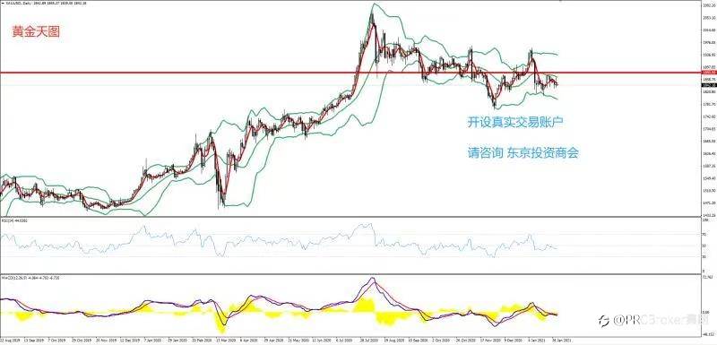 PRCBroker：2021年01月29日 今日汇评