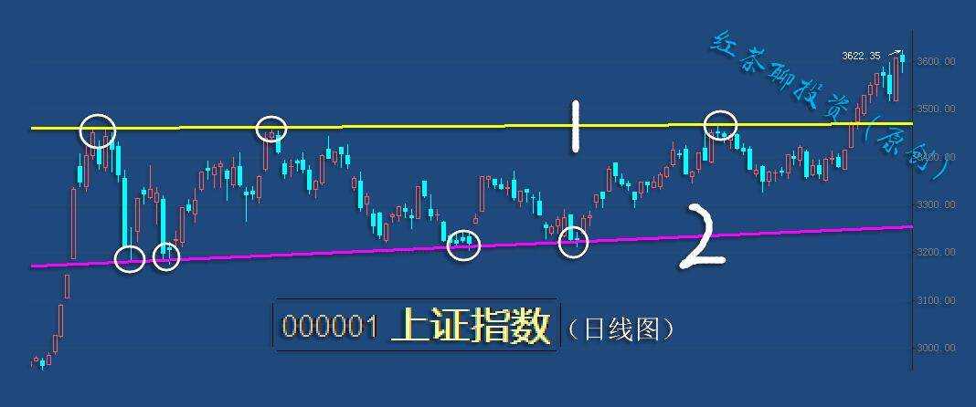 1.13收评：高位板块纷纷回落，低位补涨板块有望登上舞台