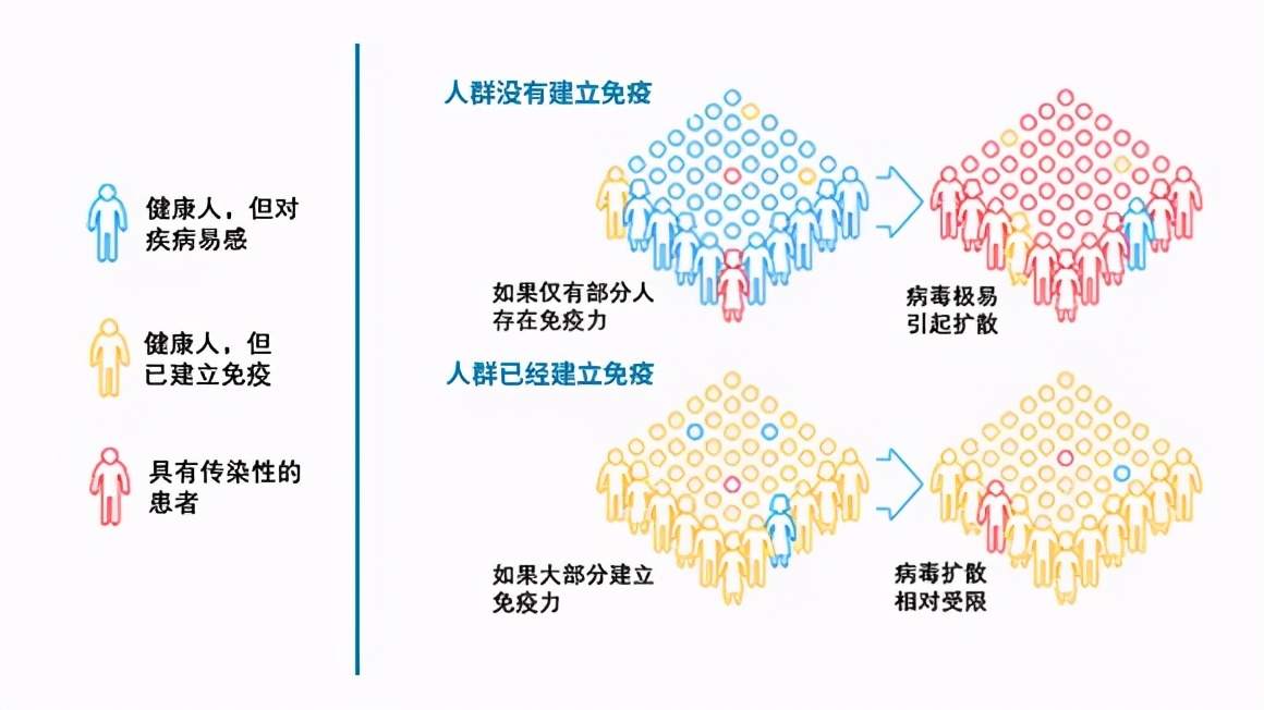 四季：西方国家采取的群体免疫是什么