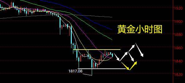 老黑策略：1.11晚盘外汇、黄金、原油分析策略