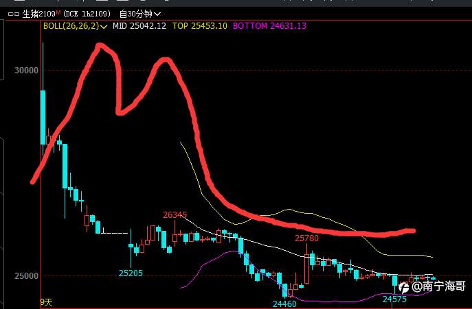 feed-image-0
