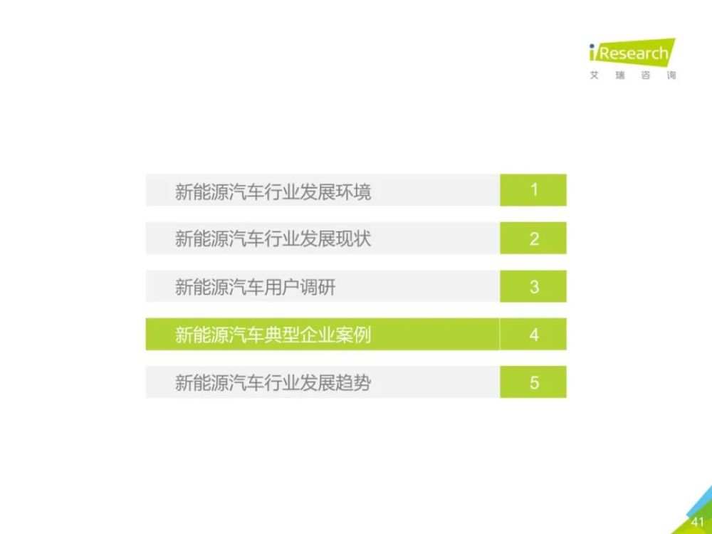 2020年中国新能源汽车行业报告