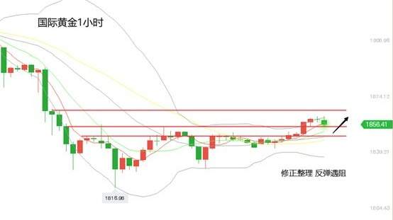 黄力晨：黄金前景依旧乐观 金价止跌持续上涨
