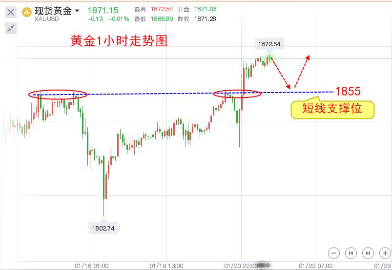 楚悦辰：1.21老拜正式上位，黄金日内如何做？