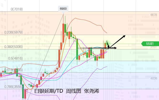 张尧浠：决选进展推涨美债飙升、黄金坠落谨防还有一跌