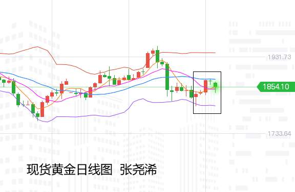 张尧浠周评：利空突压黄金坚强收阳、多头待过震荡期