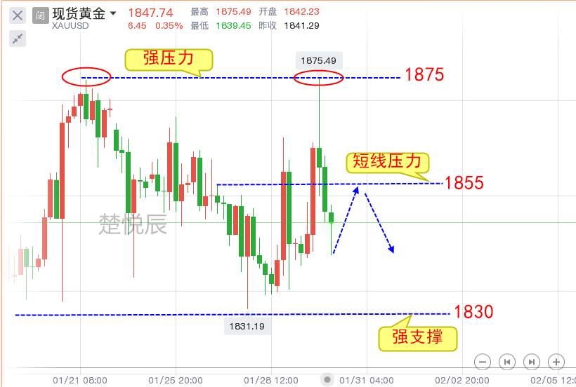 楚悦辰：1.31国际金融市场持续动荡，黄金下周如何操作？