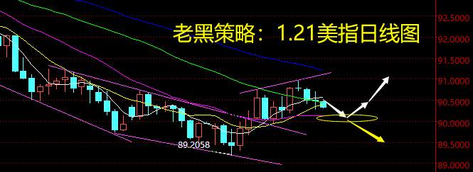 老黑策略：1.21外汇分析策略
