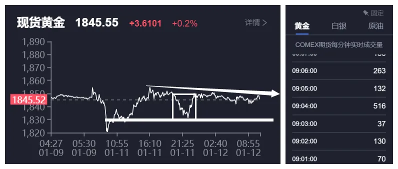 我先为黄金下一波调整做好准备