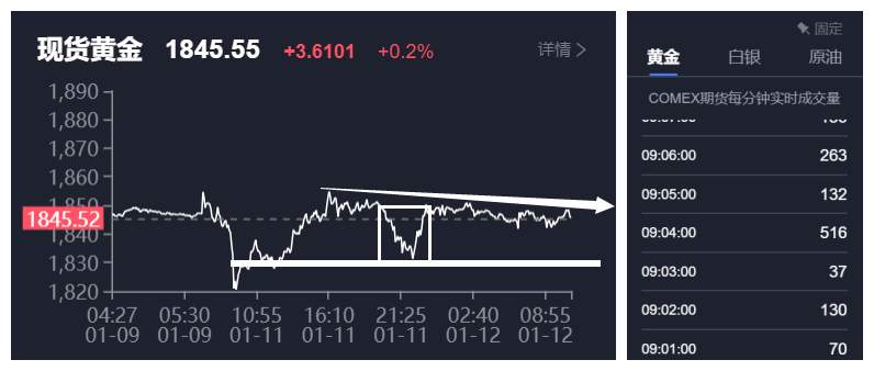 feed-image-1