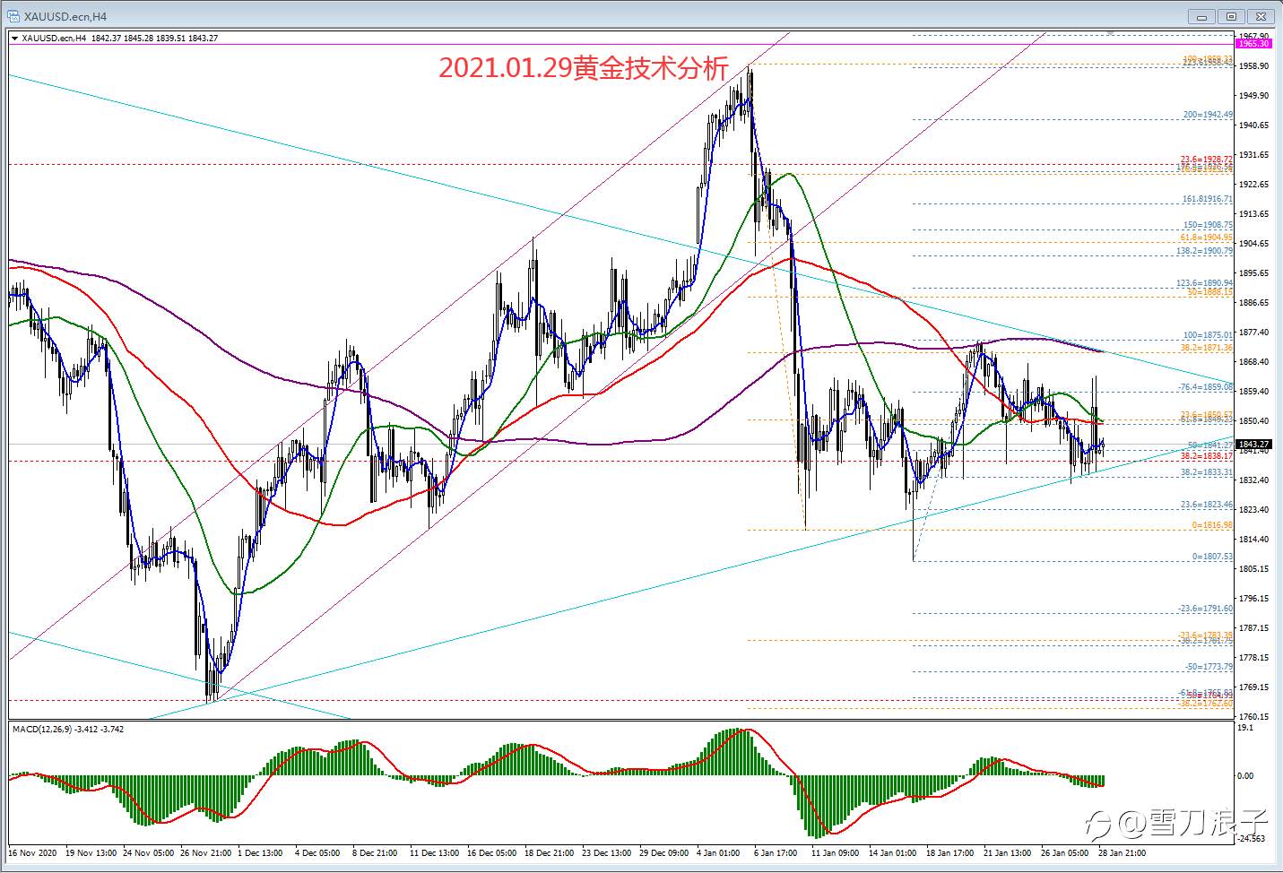 2021.01.29黄金技术分析