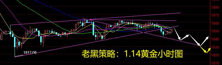 老黑策略：1.14黄金分析策略