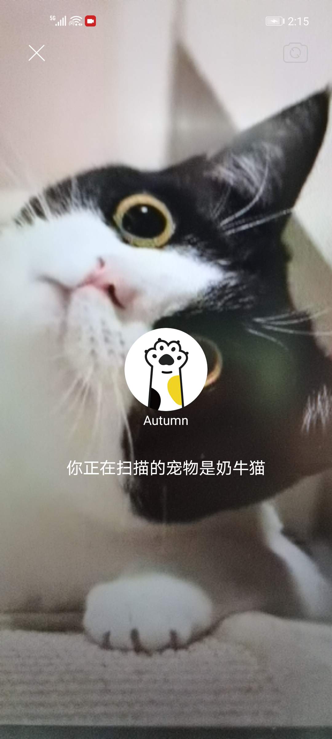 人工智能在社交领域的三大应用场景： 入口、聊天与内容分发