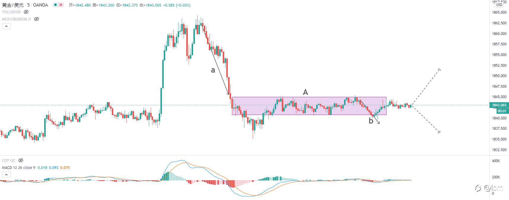 [黄金技术分析2021-01-29 拜登刺激政策明朗前，金价震荡偏上行风险