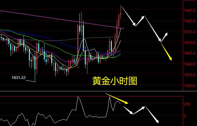 老黑策略：1.29晚盘外汇、黄金、原油分析策略
