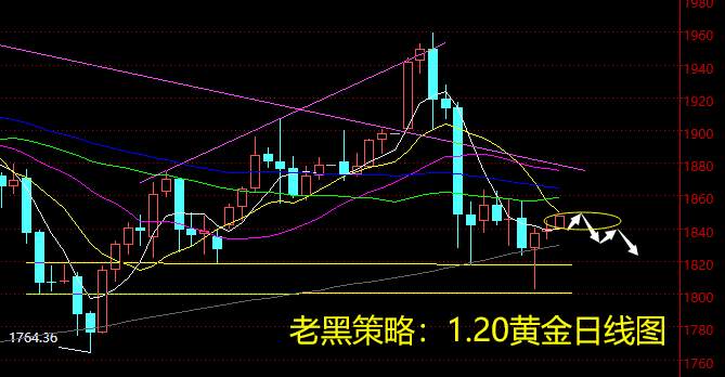 老黑策略：1.20黄金分析策略