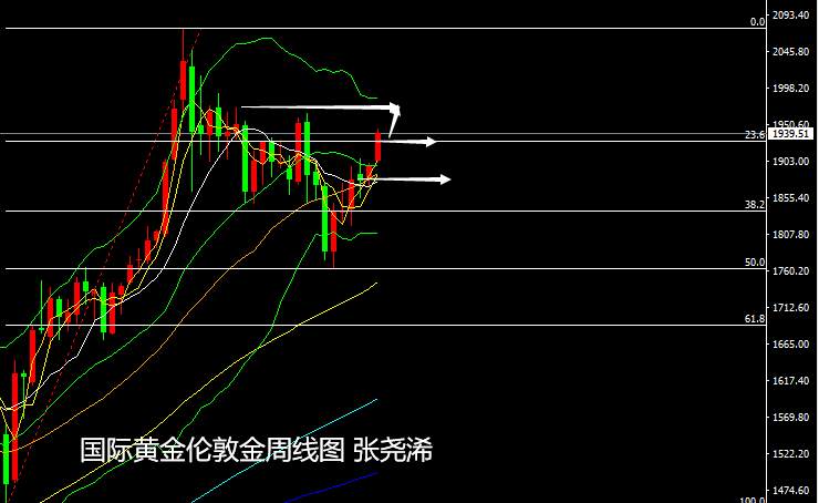 张尧浠：金银新年开门一长红、2021展望看涨情绪偏佳