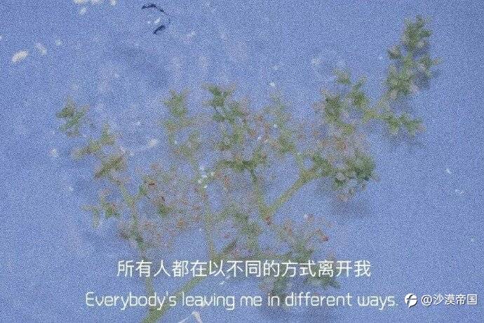 每日市场资讯