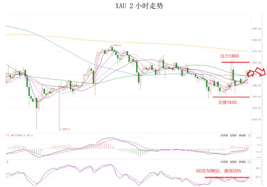 MEXGroup：晚间简报2021-01-29