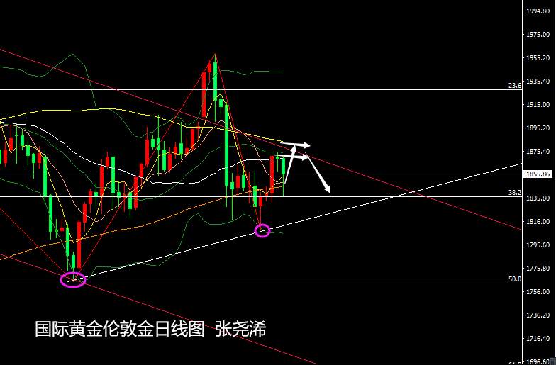 张尧浠周评：利空突压黄金坚强收阳、多头待过震荡期