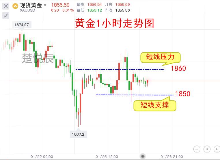 楚悦辰：1.26黄金继续震荡，市场仍需要刺激去选择方向