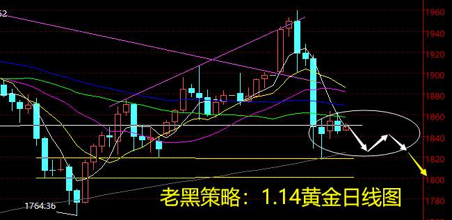 老黑策略：1.14黄金分析策略