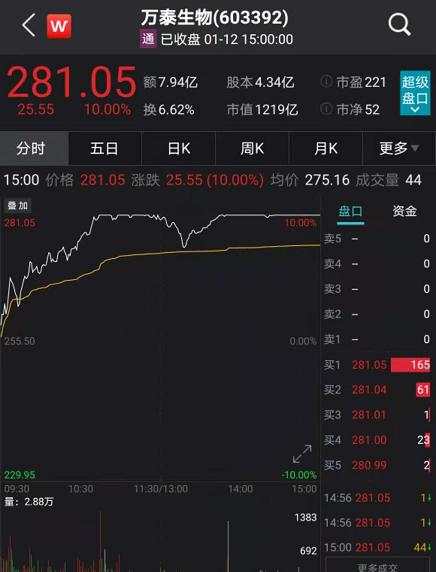 抱团股大反攻:A股狂涨突破3600点 股民高呼牛市真来了