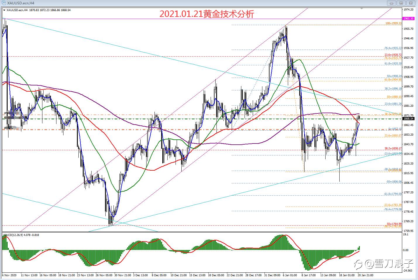 2021.01.21黄金技术分析