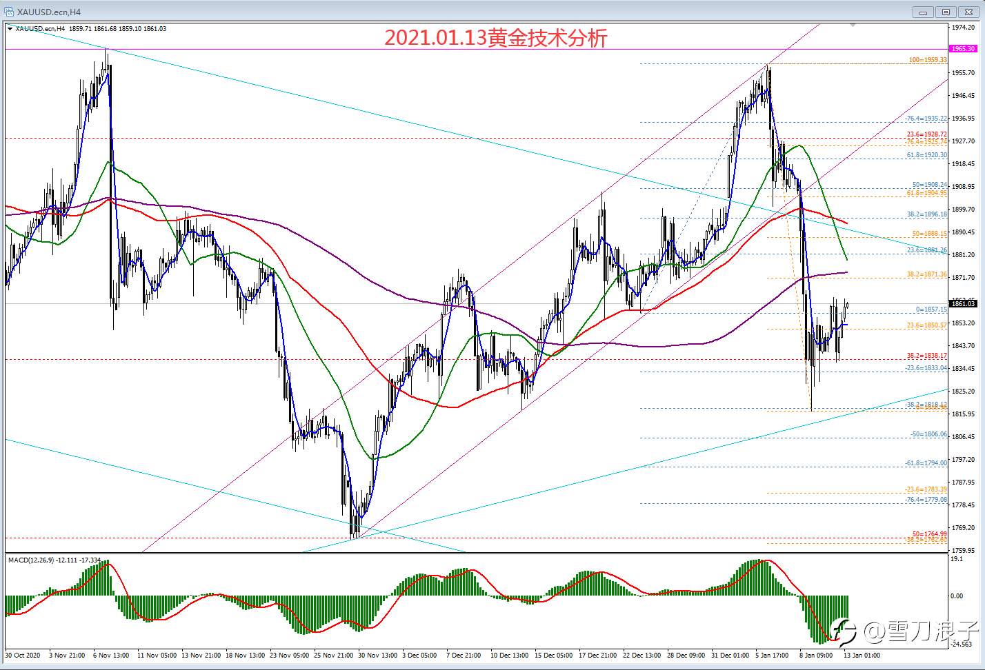 2021.01.13黄金技术分析