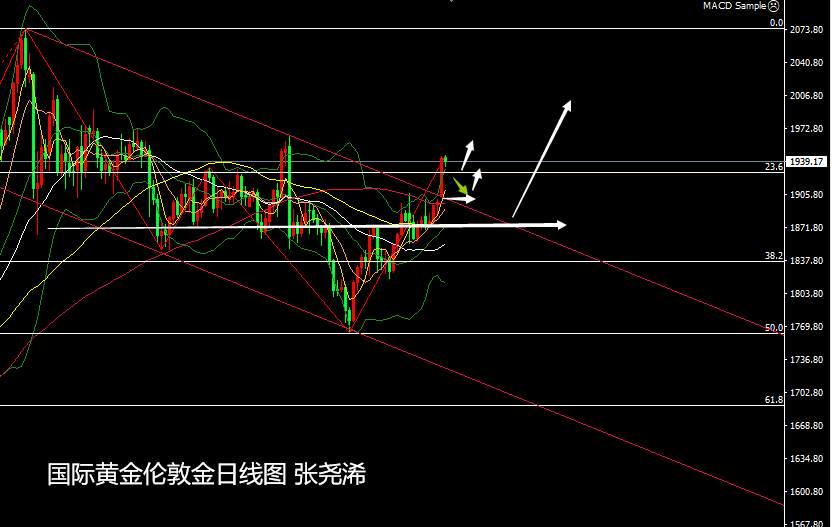 张尧浠：金银新年开门一长红、2021展望看涨情绪偏佳