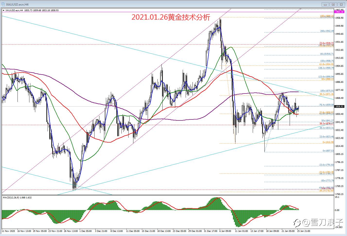 2021.01.26黄金技术分析