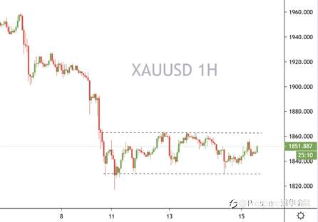 黄金中枢震荡，下周拜登上台出行情？