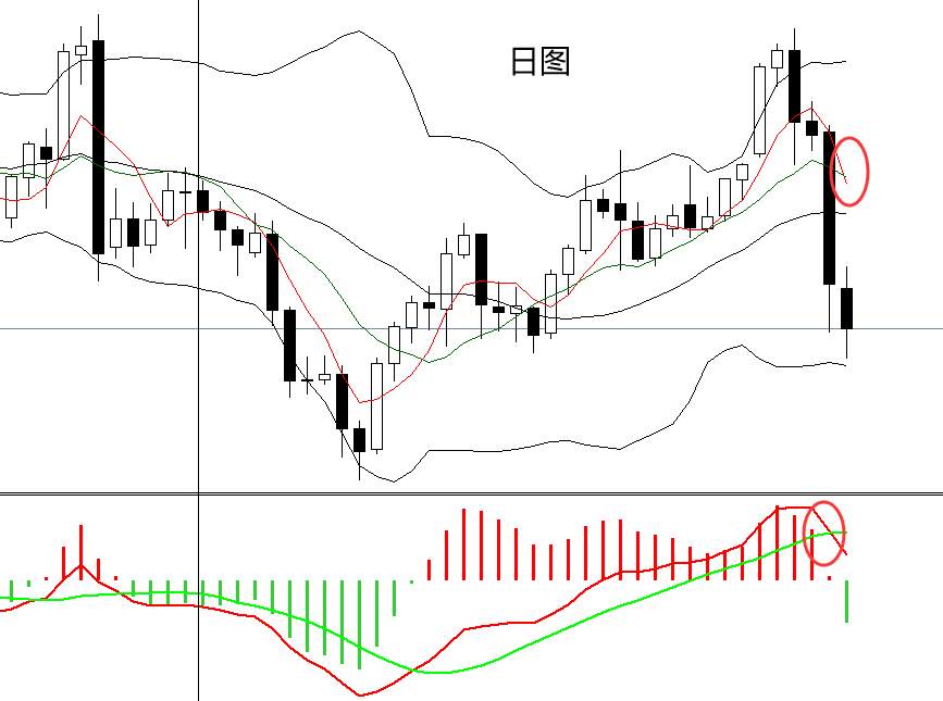 四季：黄金为何暴跌，接下来怎么办？