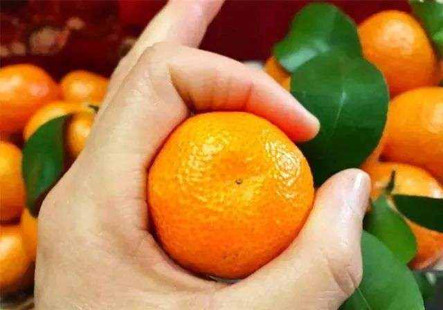 一年吃掉18万吨，价格腰斩还嫌贵，车厘子是怎么被捧上天的？