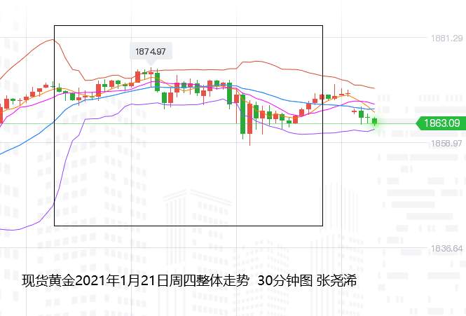 张尧浠：拜登首计划遇阻、黄金承压回撤支撑再跟多