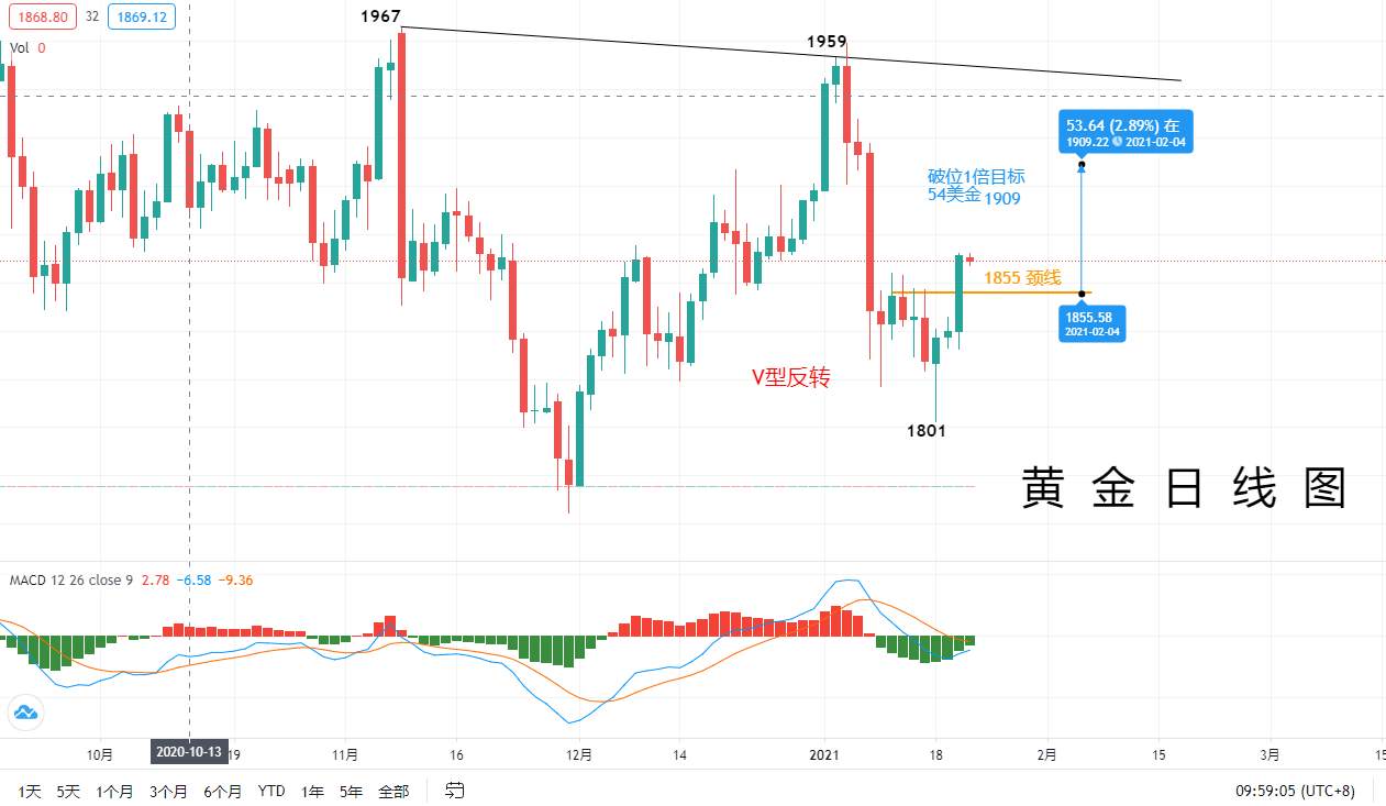 【黄金篇】：拜登重新改革，黄金一飞冲天！