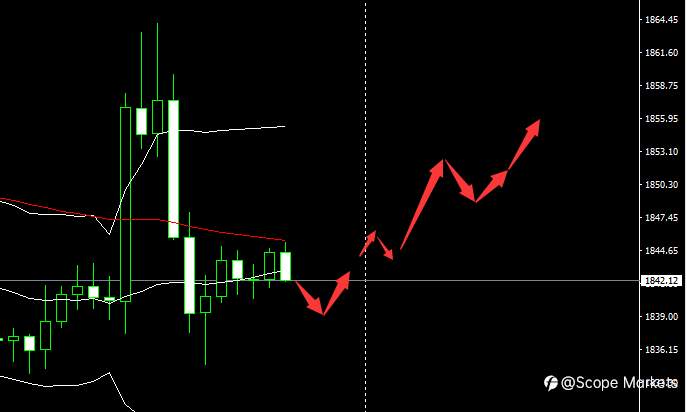SCOPE MARKETS【市场早评】丨2021.01.29